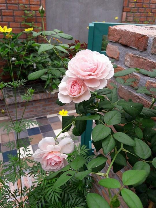 Nam Thi Holiday Home Cái Bè Dış mekan fotoğraf